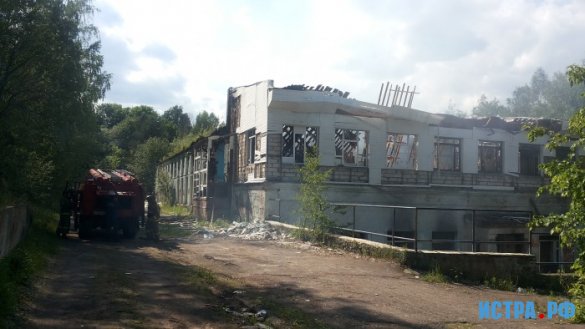 Дельфин с огоньком