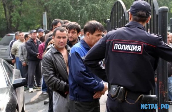 Нелегальные мигранты попали под статью