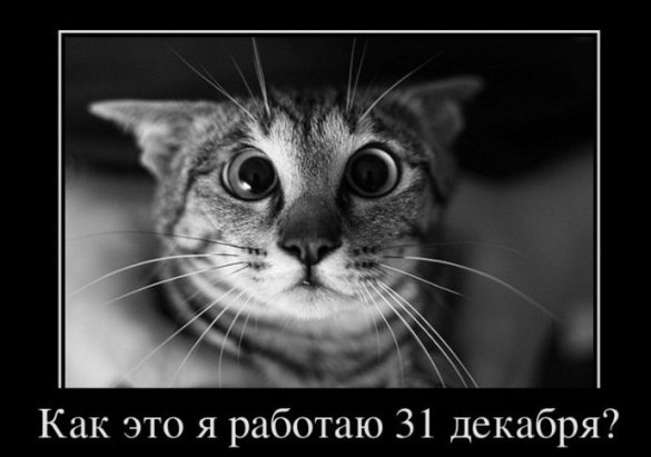 Новый год на работе!