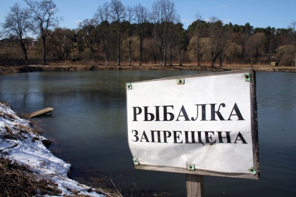 Рыбак рыбака… Когда и где в Истринском районе нельзя ловить рыбу?!